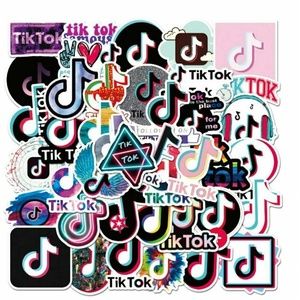 50pcs TikTok Vinyl Stickers/Decals - NEW!